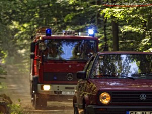 Archivbild: Die Feuerwehren aus dem Landkreis Gießen übten im Leihgesterner Wald
