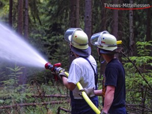 Im Juni 2011 übten die Feuerwehren des Landkreis im Lindener Stadtwald.