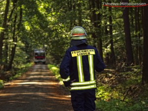 Auf den befahrbaren Waldwegen ist nicht viel Platz für Löschfahrzeuge.