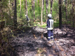 Auf ca.60m² brannte der Wald