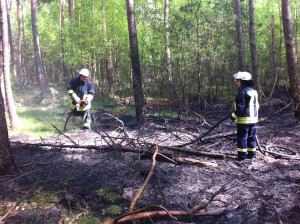 Innerhalb von 11 Tagen brannte es drei mal im Lindener Stadtwald